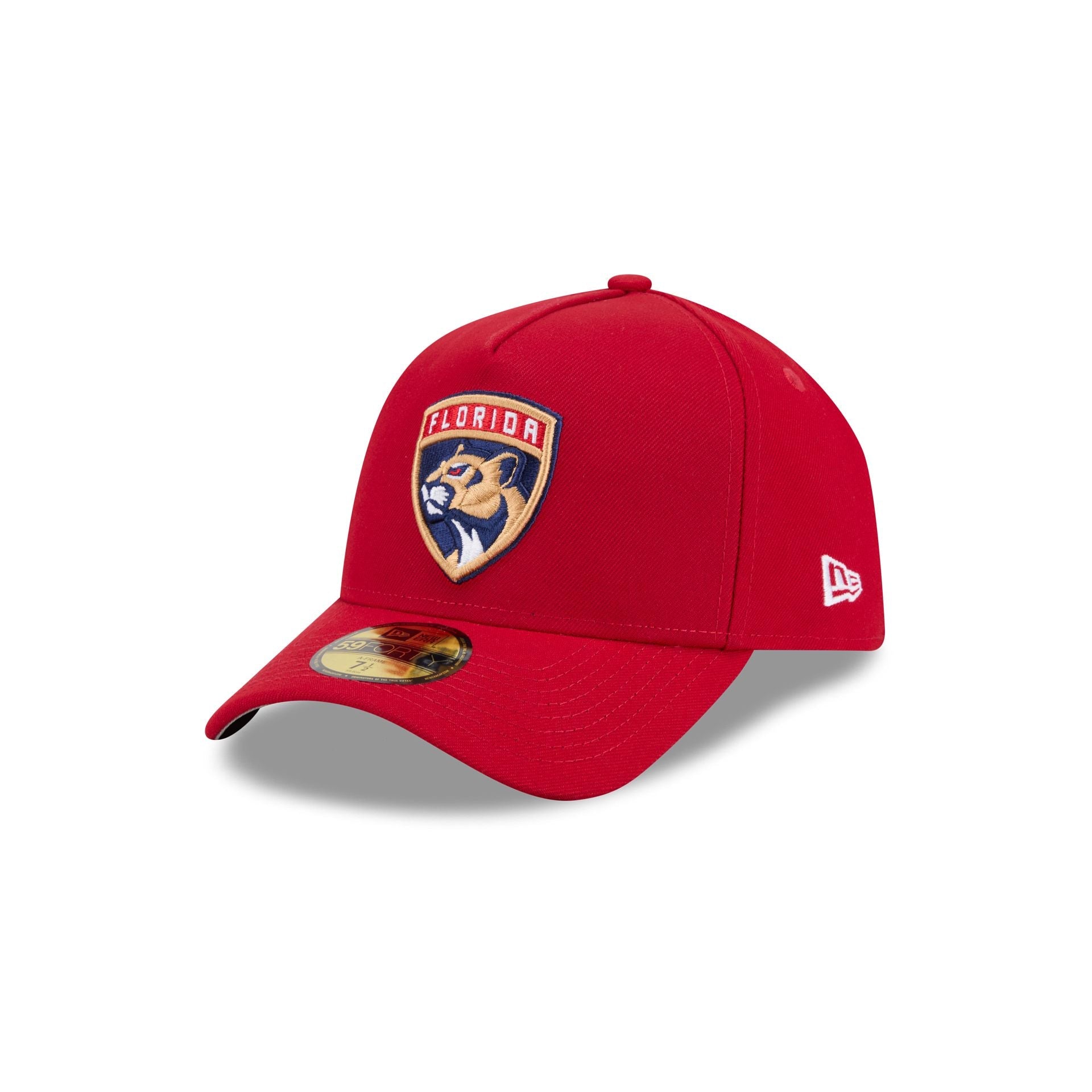 Florida Panthers Team Side 59FORTY A-Frame Fitted Hat